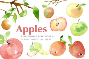 Autumn Apples Watercolour Clip Art & Illustrations