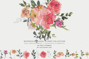 Blush Red Peony Clipart & Illustrations