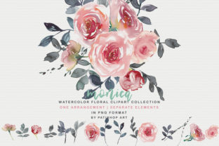 Blush Watercolor Floral Clipart & Illustrations