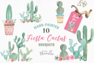 Cactus Watercolor Florals Illustrations Review