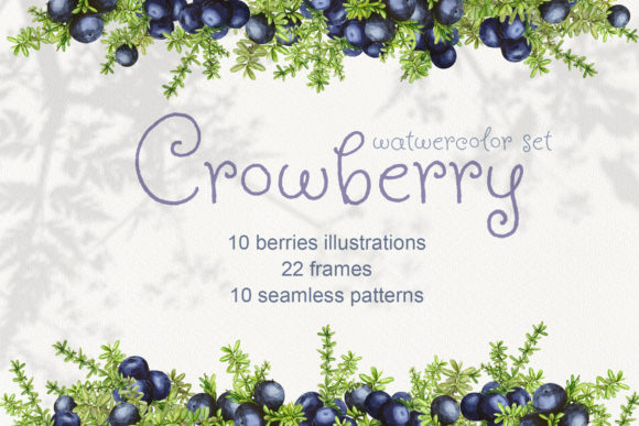 Crowberry. Watercolor Set Illustrations Review
