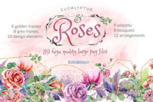 Eucalyptus Roses Watercolor Bundle & Illustrations