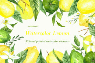 Fresh Lemon Watercolor Illustrations