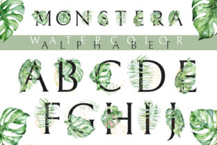 Monstera Watercolor Black Alphabet Review