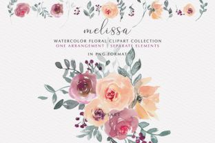 Peach Mauve Watercolor Floral Clipart & Illustrations