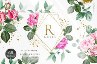 Rosette Watercolor Roses Leaf Set Illustrations