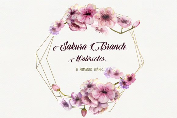 Sakura Branch Watercolor Illustrations Review