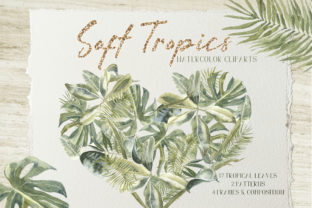 Soft Tropics Watercolor Cliparts & Illustrations