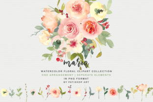 Vanilla and Blush Watercolor Floral Set