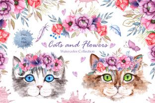 Watercolor Cats and Flowers Illustrations Review