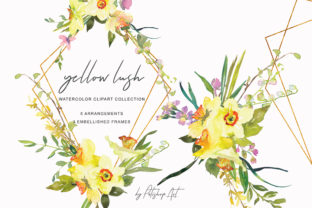 Watercolor Daffodil Bouquets and Frames Review