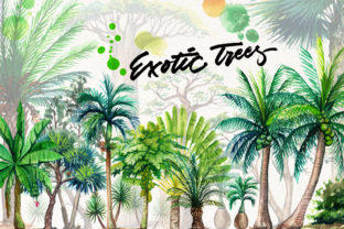 Watercolor Exotic Trees: Illustrations Review