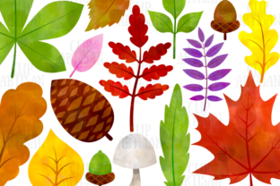 Watercolor Fall Leaves Clipart Autumn Illustrations