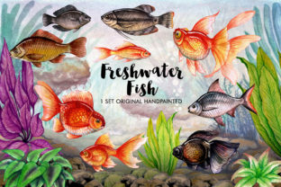 Watercolor Fish Lover: Illustrations Review