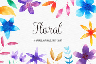 Watercolor Floral Illustration: A Designer's Review
