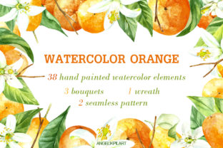 Watercolor Orange Fruit Illustrations Review
