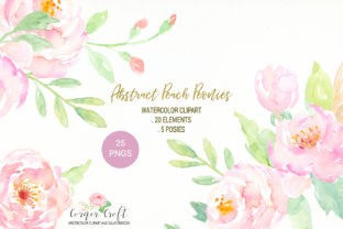 Watercolor Peach Peony Illustrations Review
