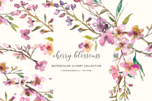 Watercolor Pink Cherry Blossom Illustrations Review