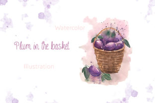 Watercolor Plum in the Basket Illustrations