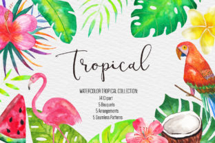 Watercolor Tropical Clipart for Local Branding