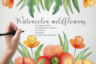 Watercolor Wildflowers Illustrations Review