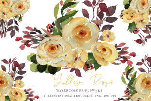 Watercolour Yellow Rose Illustrations Review
