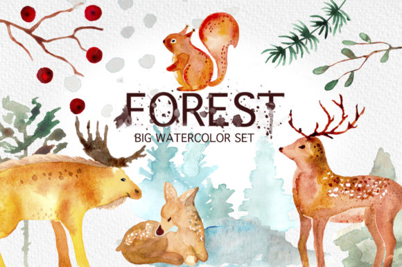 Winter Forest Watercolor Graphic Set Review